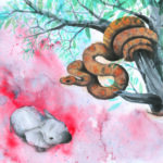 Dibujo Anatómico – Módulo 2: Parte 2.2