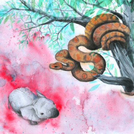 Dibujo Anatómico – Módulo 2: Parte 2.2