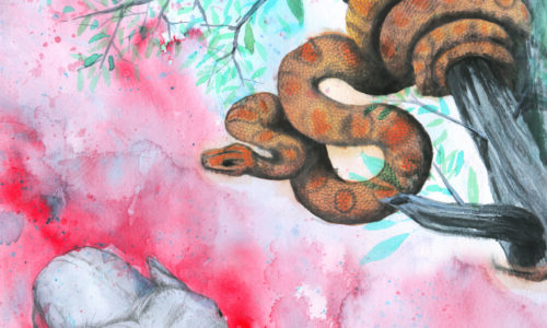 Dibujo Anatómico – Módulo 2: Parte 2.2