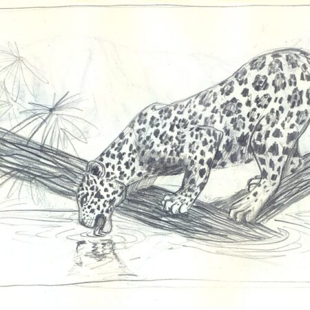 Dibujo Anatómico – Módulo 2: Parte 1.5