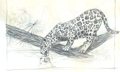 Dibujo Anatómico – Módulo 2: Parte 1.5