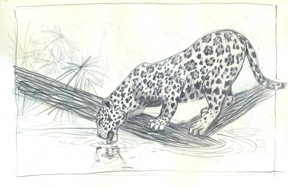 Alejandra Santin 6 (1)-min (1)